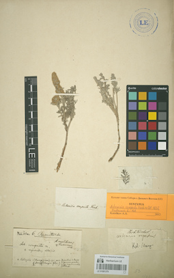 LE 01081379