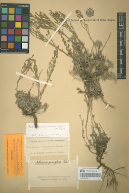 LE 01081381