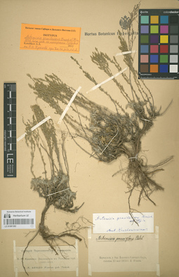 LE 01081382