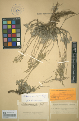 LE 01081383