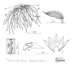 LE 01122492