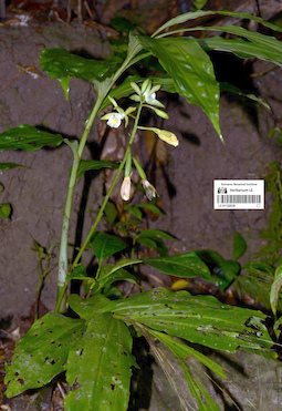 LE 01122530