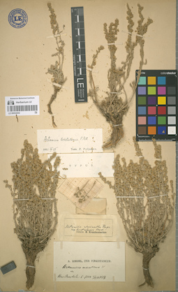 LE 00052850