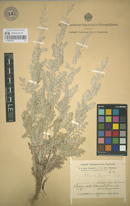 LE 00052854