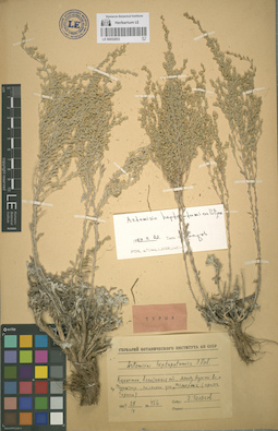LE 00052853
