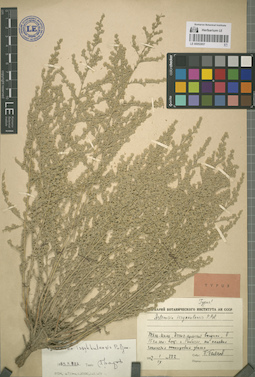 LE 00052857