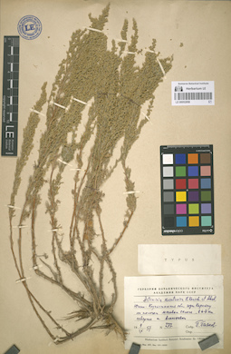 LE 00052858