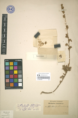 LE 00052849