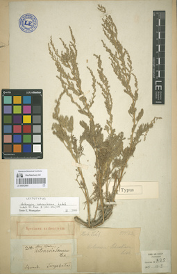 LE 00052860