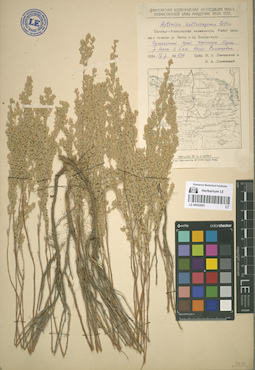 LE 00052855