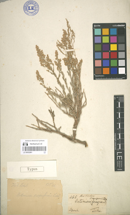 LE 00052861