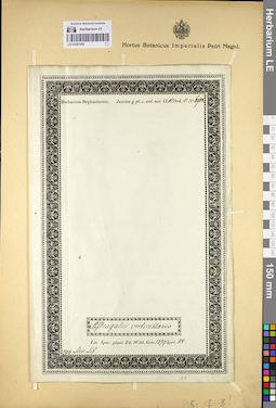 LE 01081458
