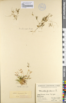 LE 01104523
