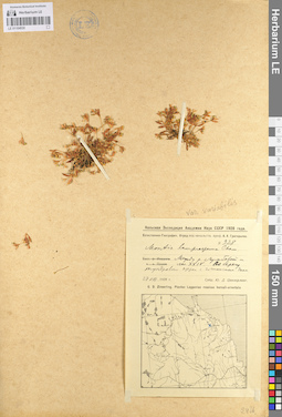 LE 01104530