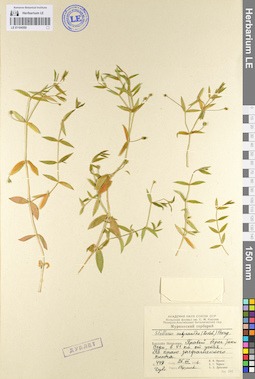 LE 01104559