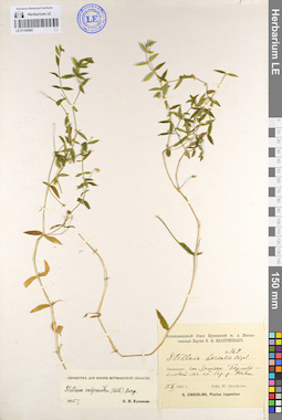 LE 01104560