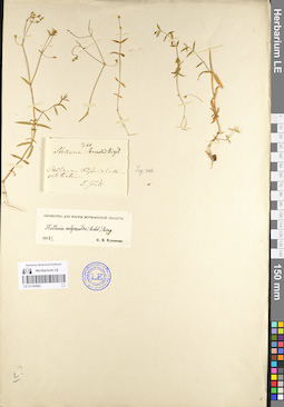 LE 01104582