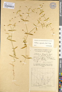 LE 01104585
