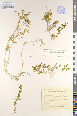 LE 01104587
