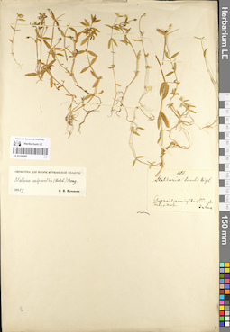 LE 01104596