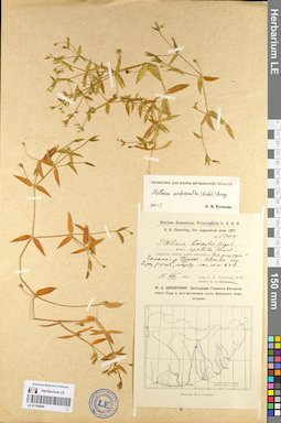 LE 01104599