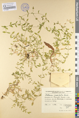 LE 01104608