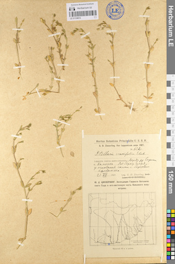 LE 01104614