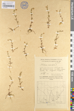 LE 01104618