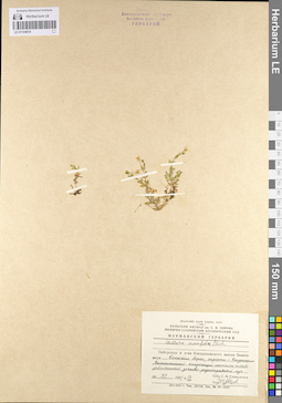 LE 01104619