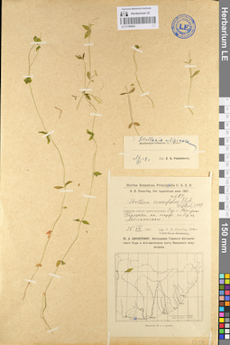 LE 01104624