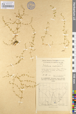 LE 01104633