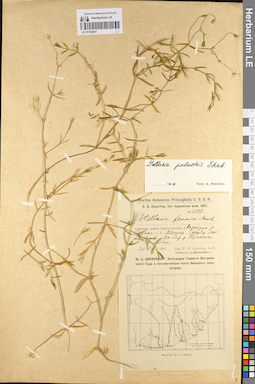 LE 01104641