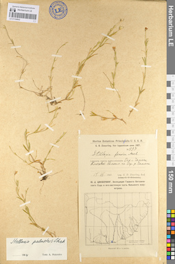 LE 01104642