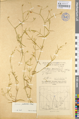 LE 01104648