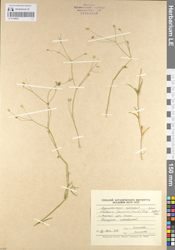 LE 01104652