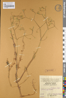 LE 01104656