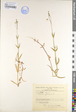 LE 01104687