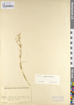 LE 01104701