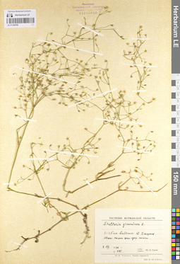 LE 01104708