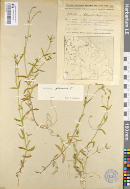 LE 01104722