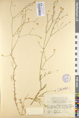 LE 01104733