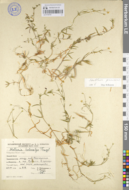 LE 01104735