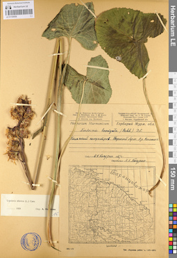 LE 01105058
