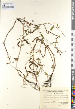LE 01105060