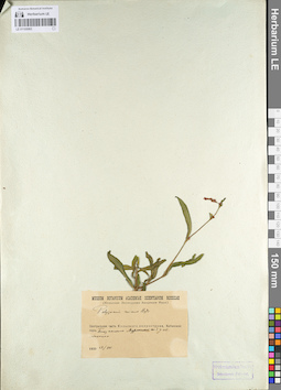 LE 01105063