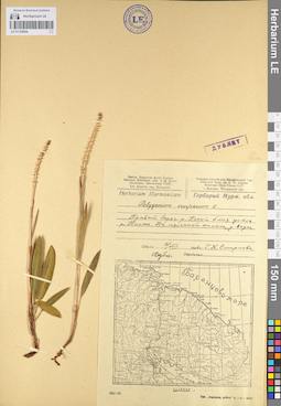 LE 01105094