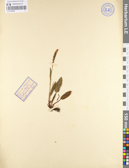 LE 01105108