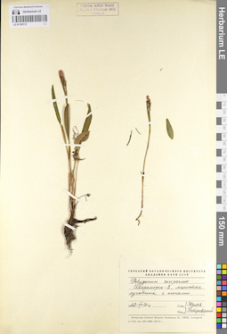 LE 01105112