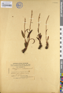 LE 01105157
