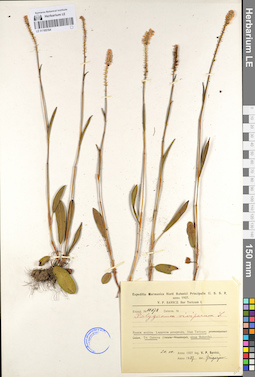 LE 01105164
